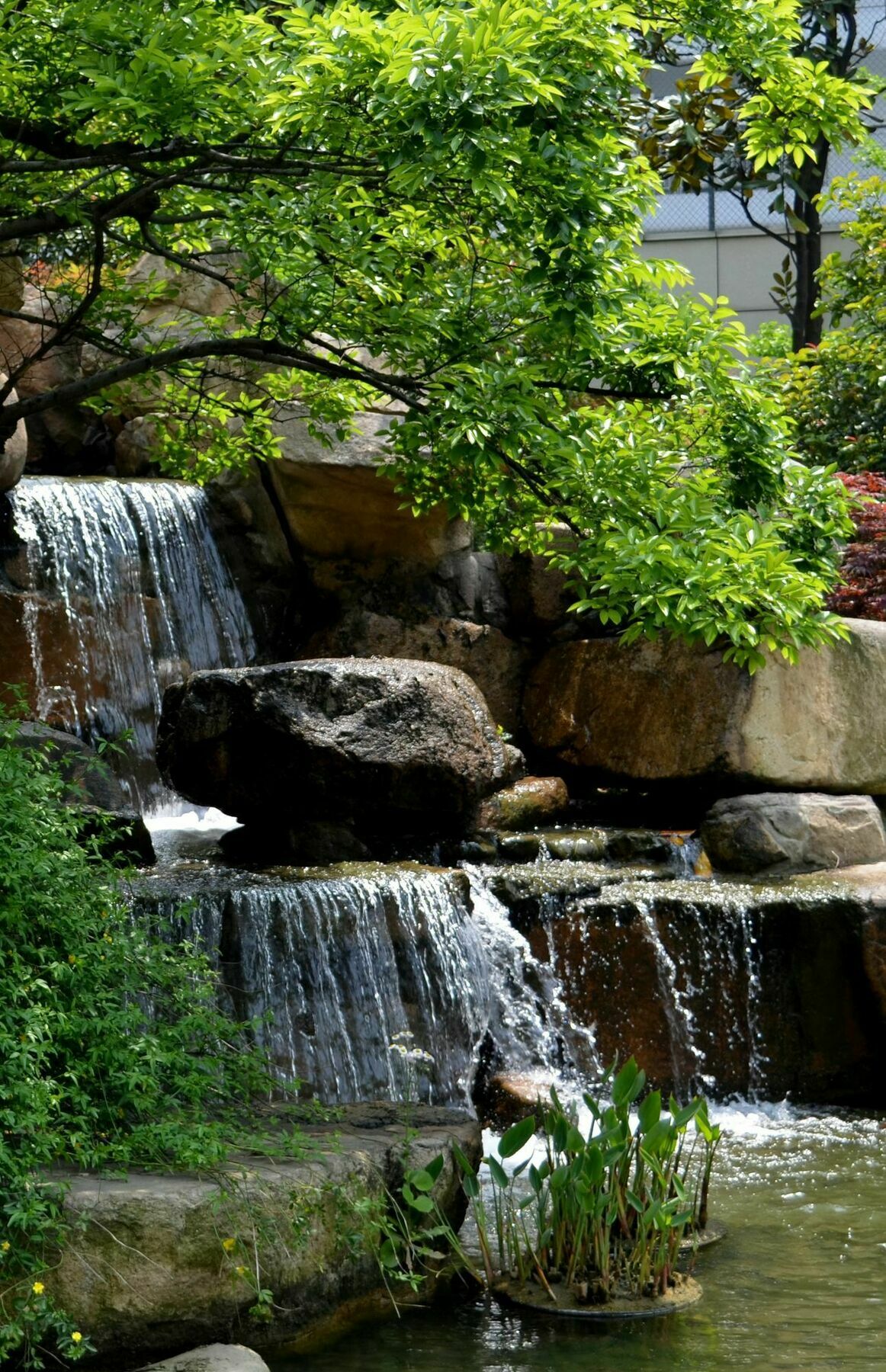 Millennium Hotel Wuxi Wuxi (Jiangsu) Exterior foto